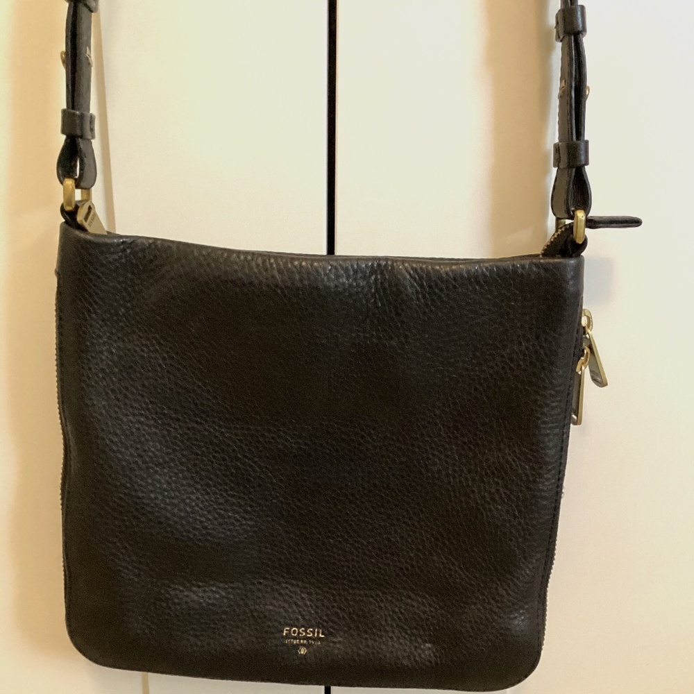 Fossil Crossbody Bag